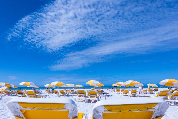 Clearwater nos Estados Unidos por Naide MT