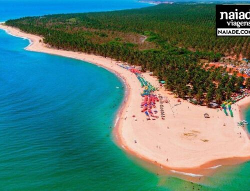Viagem em Grupo Alagoas Agosto 2022