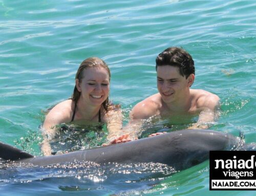 Lua de Mel Vinicius e Leticia em Punta Cana