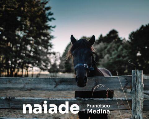 Hotel Fazenda Santa Catarina by Naiade PB