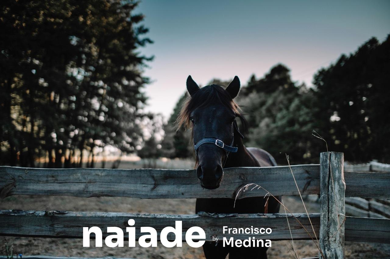 Hotel Fazenda Santa Catarina by Naiade PB