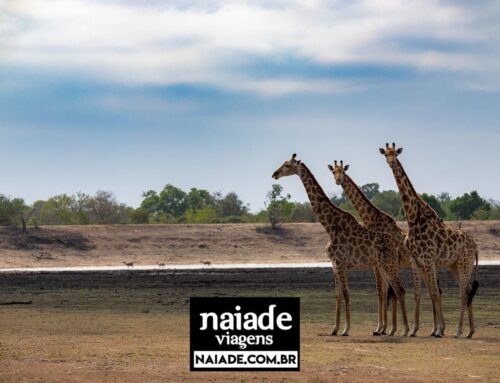 Parque Nacional Kruger