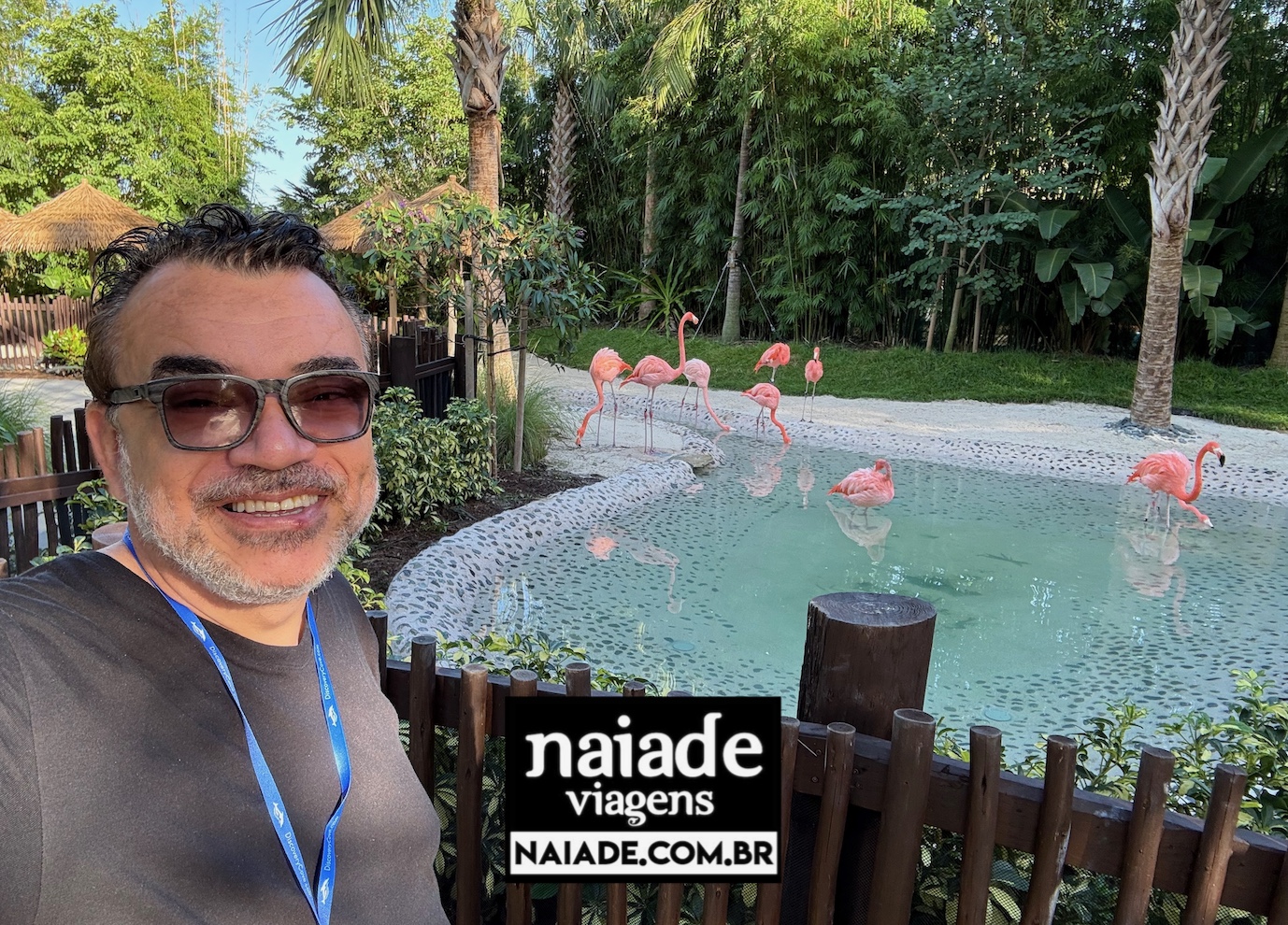 Encontro com os Flamingos Discovery Cove