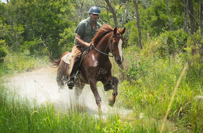 Safari na África em Cavalos