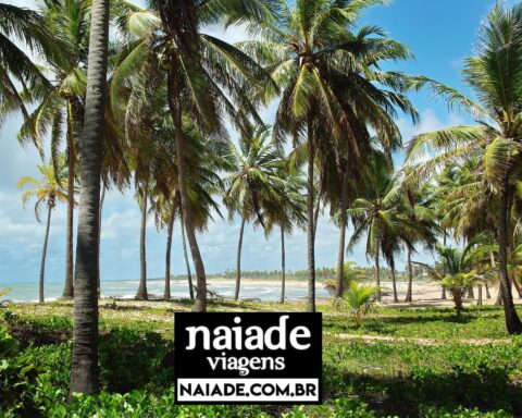 auípe Bahia Brasil by Naiade PB