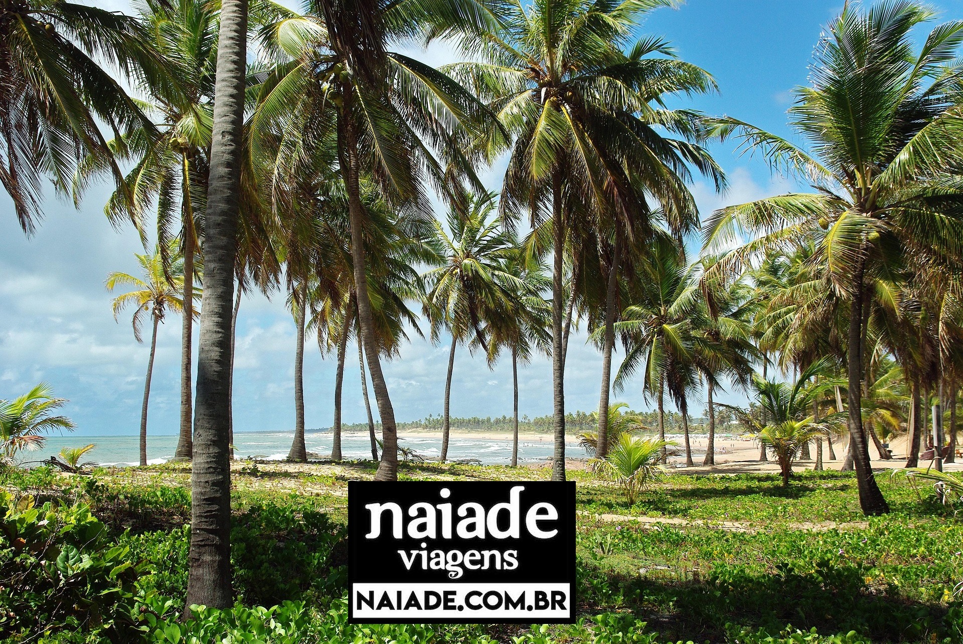 auípe Bahia Brasil by Naiade PB