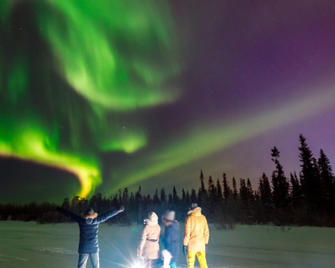 TROMSO By Naiade Sato