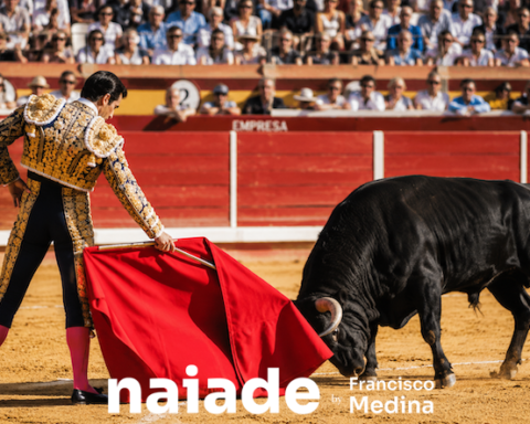 Tourada by Naiade IA em 2026