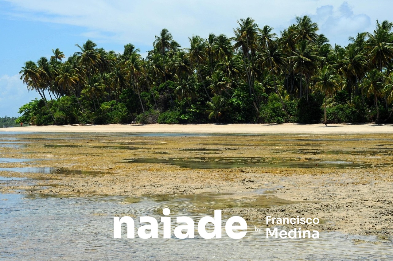 Ilha de Boipeba - Bahia por Naiade PB